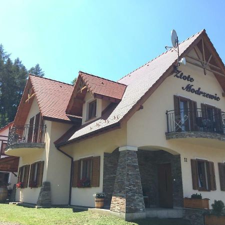 Zlote Modrzewie Душники-Здруй Экстерьер фото