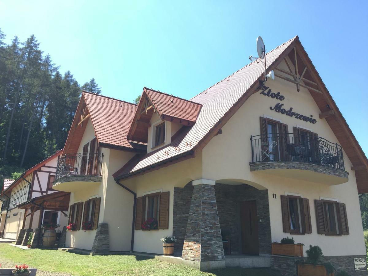 Zlote Modrzewie Душники-Здруй Экстерьер фото